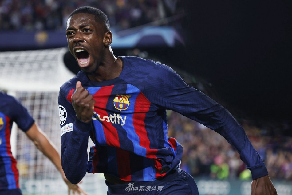 不仅提高了 不仅提高了